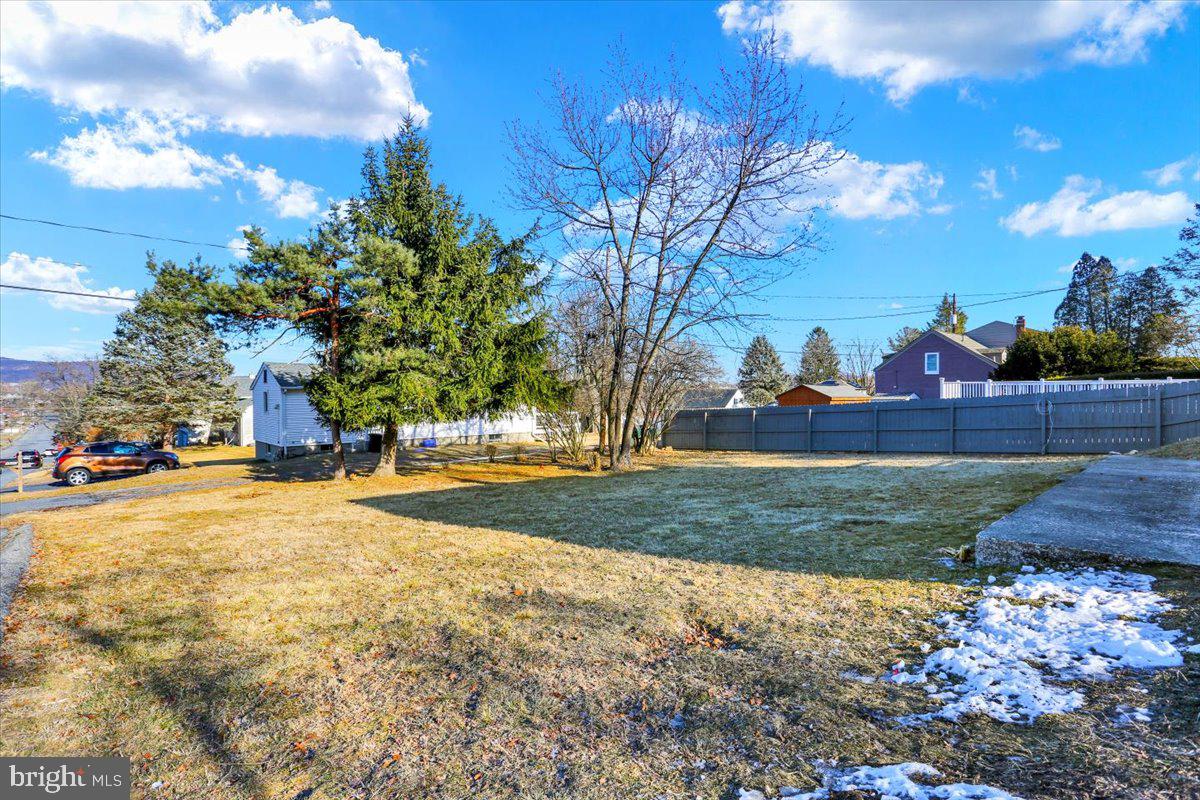 321 Pershing Boulevard Reading, PA 19607 - Photo 7 of 36 a view of a yard with palm trees