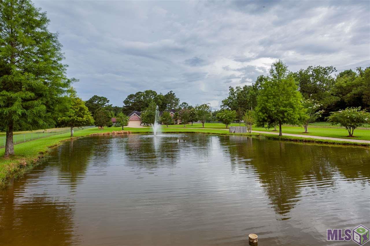 23991 Reames Road Zachary, LA 70791 - Photo 7 of 43 Gallery Image 7