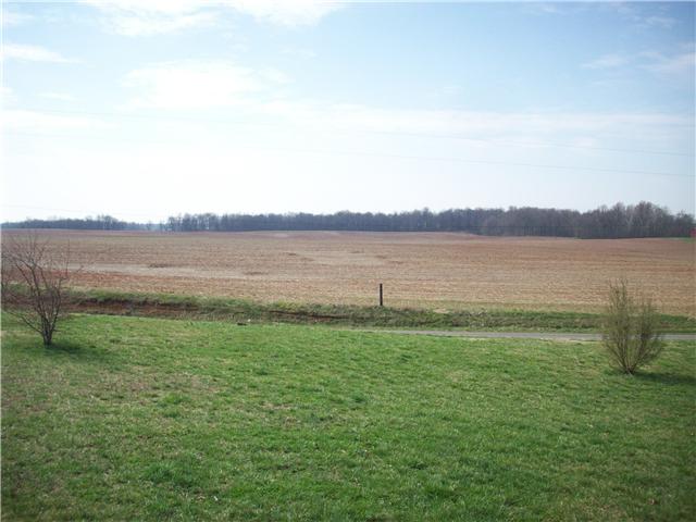 6200 Underwood Road Springfield, TN 37172 - Photo 11 of 16 a view of a lake with a mountain