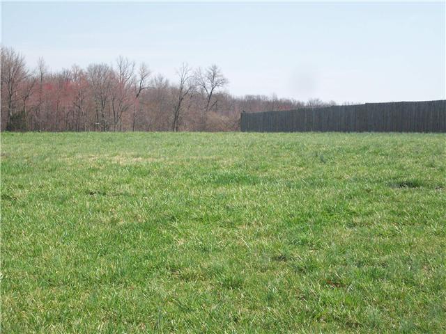 6200 Underwood Road Springfield, TN 37172 - Photo 14 of 16