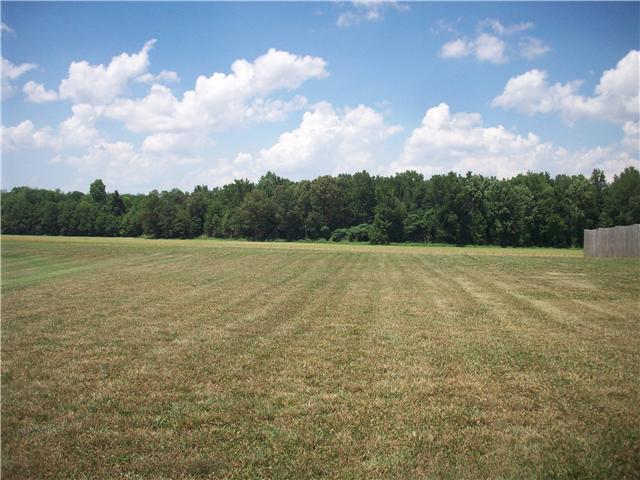 6200 Underwood Road Springfield, TN 37172 - Photo 16 of 16 a view of a field with an trees in the background