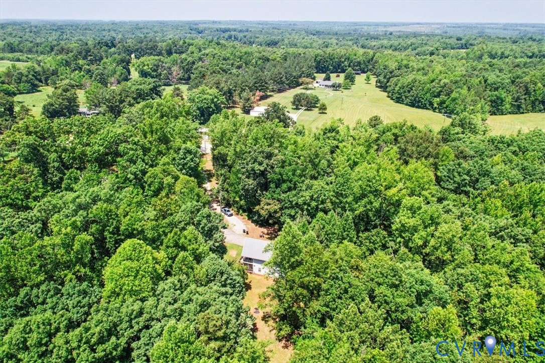 62 The Fls Road Victoria, VA 23974 - Photo 33 of 36 Expansive wooded grounds with cleared areas and a