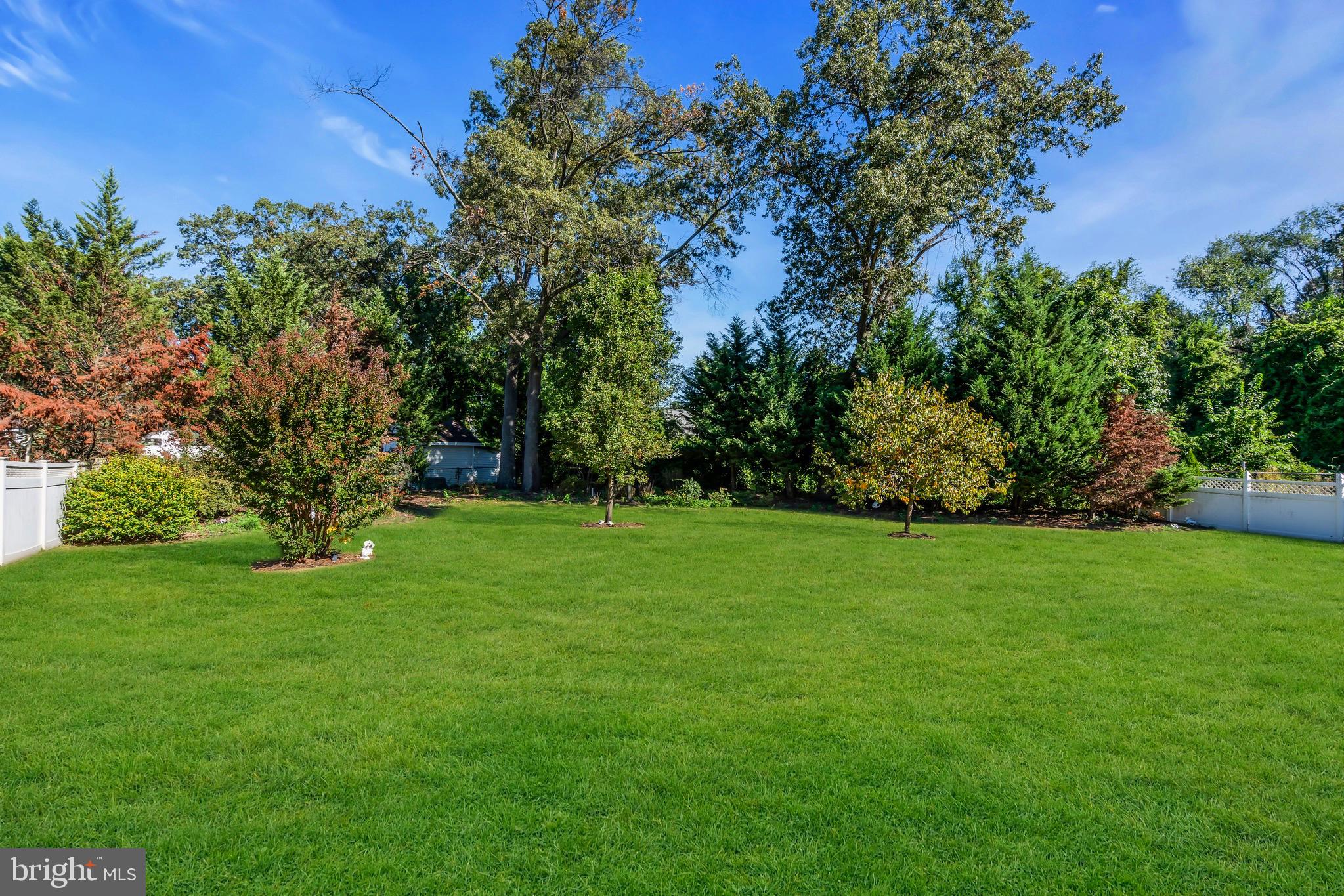 721 Rancocas Avenue Riverside, NJ 08075 - Photo 50 of 56 a view of a field with a tree
