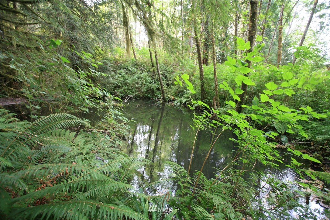 26 Hay Road Aberdeen, WA 98520 - Photo 16 of 18 Gallery Image 16