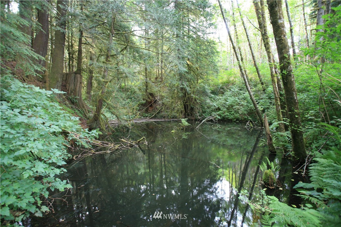 26 Hay Road Aberdeen, WA 98520 - Photo 18 of 18 Gallery Image 18