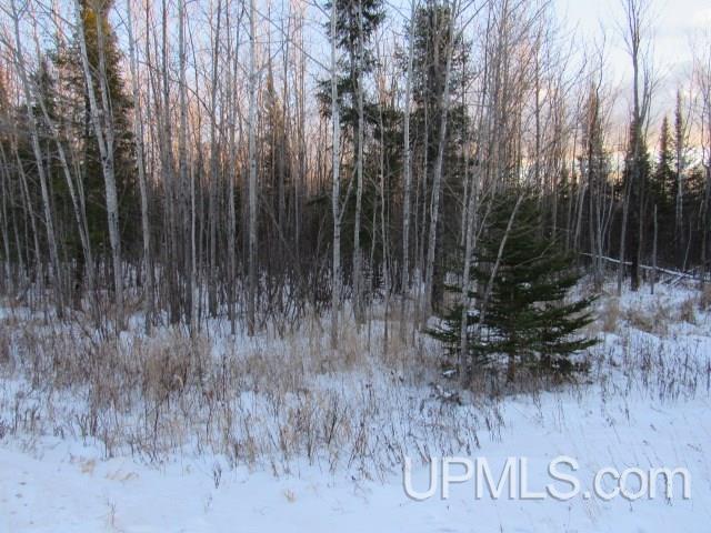 Tbd Tbd Tower Perkins, MI 49872 - Photo 3 of 22