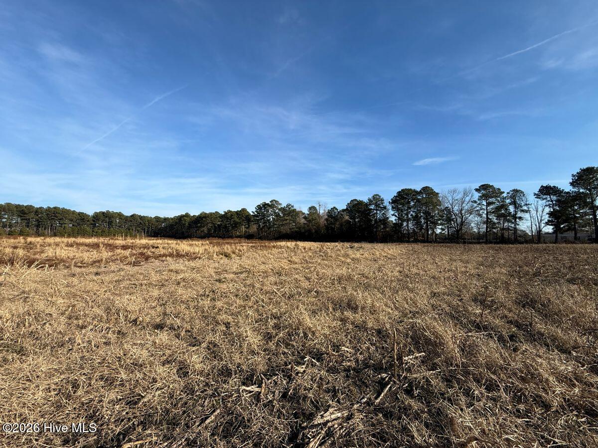0 Center Road Bladenboro, NC 28320 - Photo 16 of 56 16