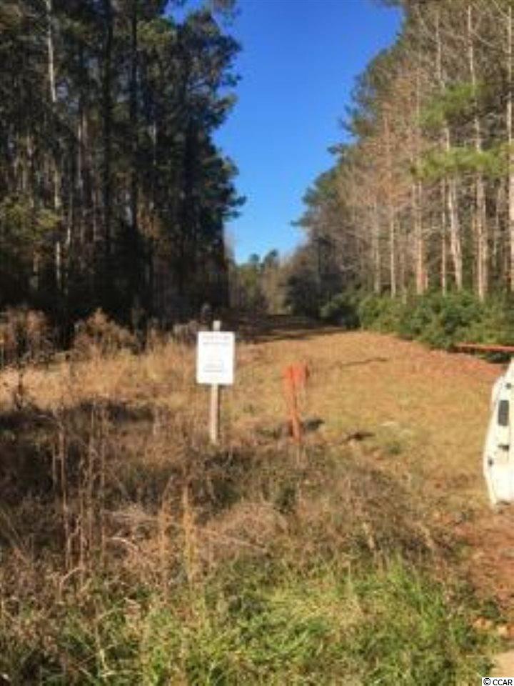 Tbd I M Graham Road Lake City, SC 29560 - Photo 2 of 4