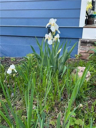 $5,900 | 4060 R Merritt Drive, Cumming, GA 30041