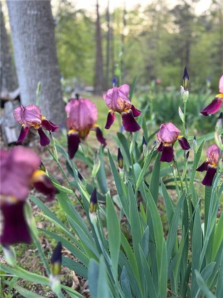 4060 R Merritt Drive Cumming, GA 30041 - Photo 117 of 144