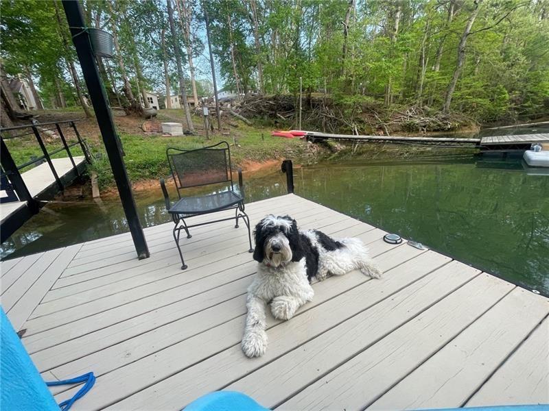 4060 R Merritt Drive Cumming, GA 30041 - Photo 144 of 144