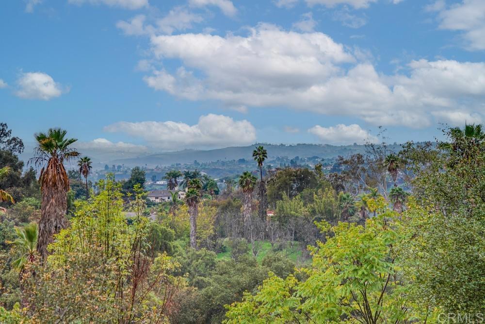 3655 Lupine Lane Fallbrook, CA 92028 - Photo 50 of 72