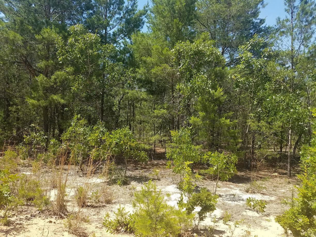 0 Chesterfield Road Crestview, FL 32539 - Photo 2 of 2 Gallery Image 2