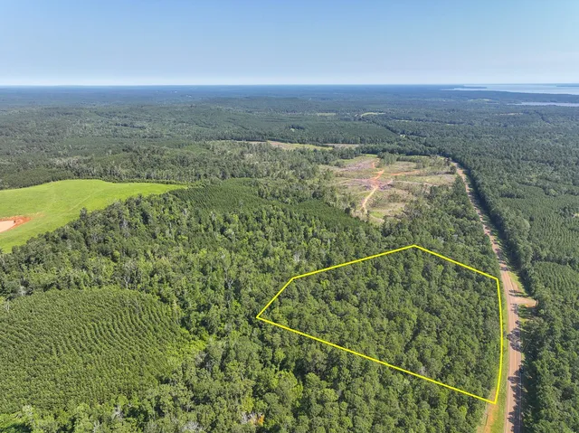 $95,000 | 1 Highway 87 South, Milam, TX 75959