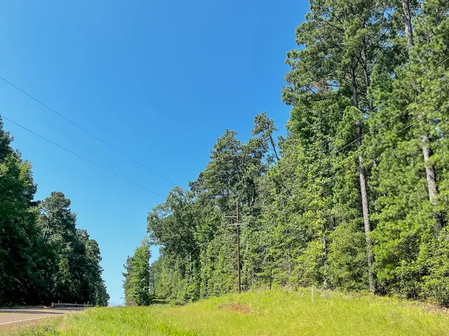 $95,000 | 1 Highway 87 South, Milam, TX 75959