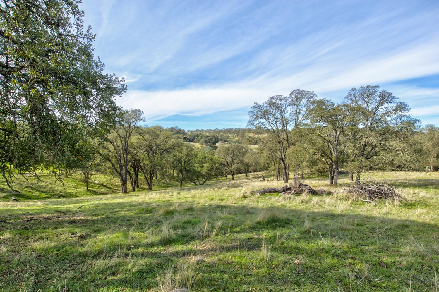 0 Latrobe Road Plymouth, CA 95669 - Photo 27 of 52 a view of outdoor space with trees all around