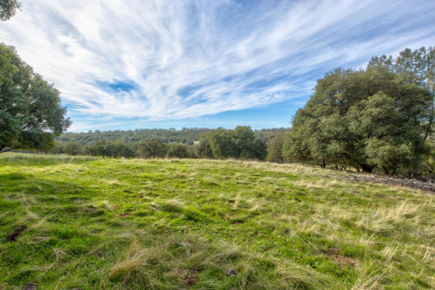 0 Latrobe Road Plymouth, CA 95669 - Photo 29 of 52 a view of a field with an trees