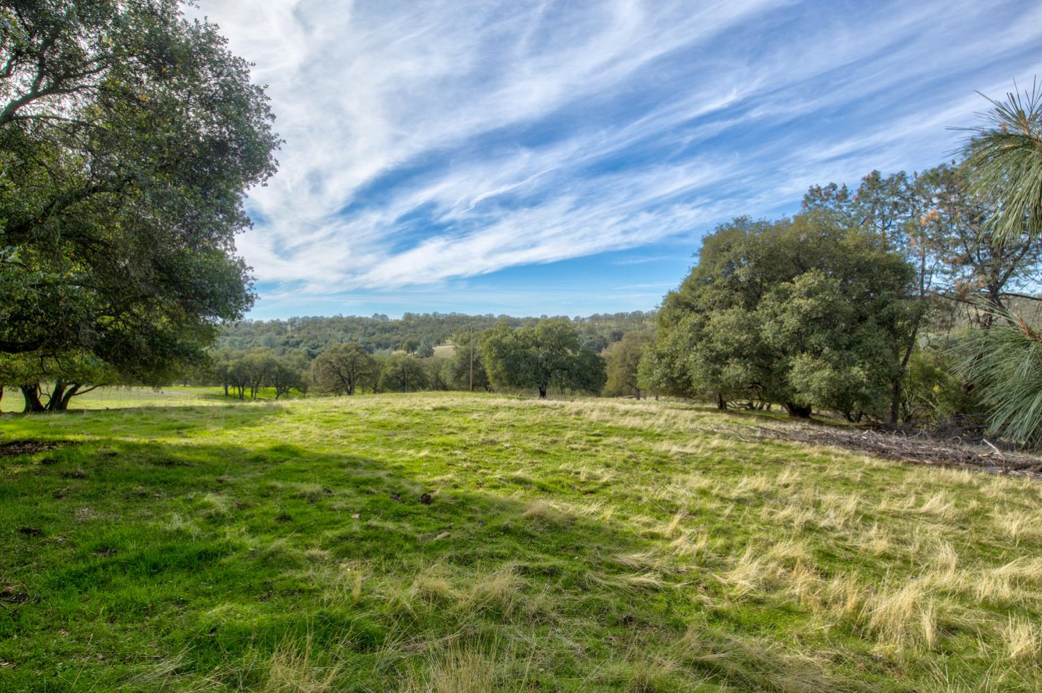0 Latrobe Road Plymouth, CA 95669 - Photo 30 of 52 a view of a big yard with an outdoor space