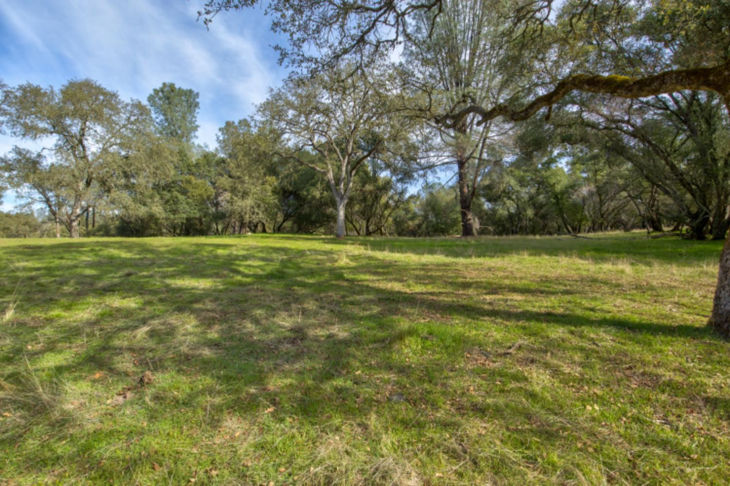 0 Latrobe Road Plymouth, CA 95669 - Photo 35 of 52 a view of a green field with trees in the background
