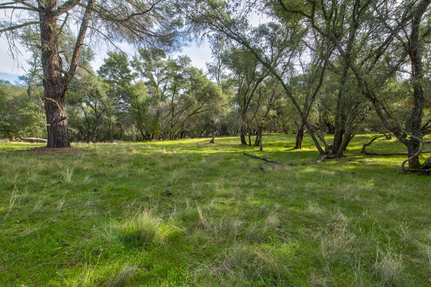 0 Latrobe Road Plymouth, CA 95669 - Photo 36 of 52 a view of outdoor space with trees all around