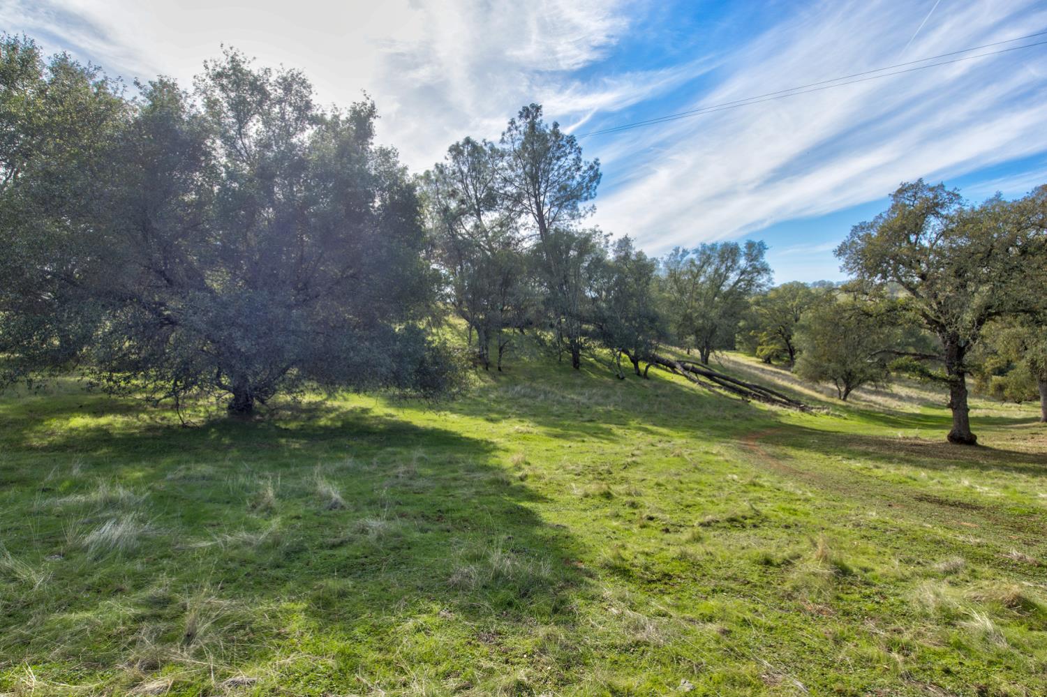 0 Latrobe Road Plymouth, CA 95669 - Photo 37 of 52 a view of a trees in a yard
