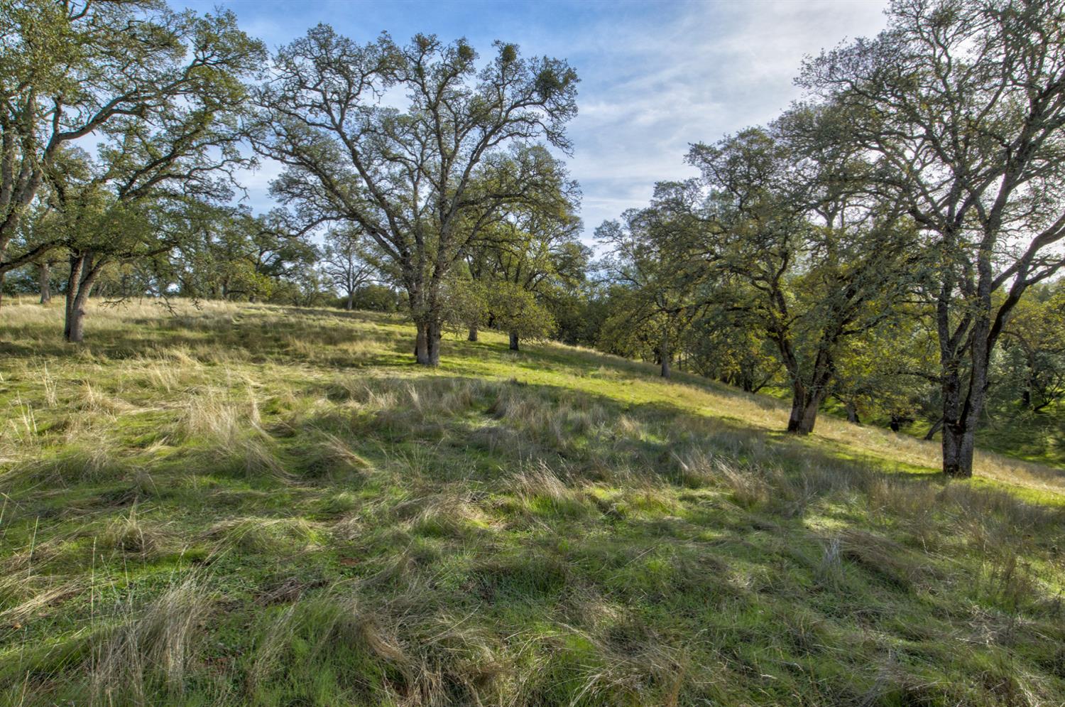 0 Latrobe Road Plymouth, CA 95669 - Photo 39 of 52 a view of outdoor space with trees all around