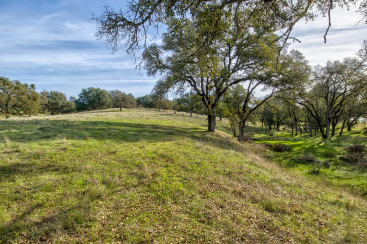 0 Latrobe Road Plymouth, CA 95669 - Photo 41 of 52 a view of outdoor space with trees all around