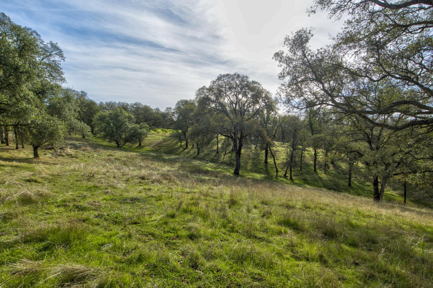 0 Latrobe Road Plymouth, CA 95669 - Photo 45 of 52 a view of a large yard with lots of green space