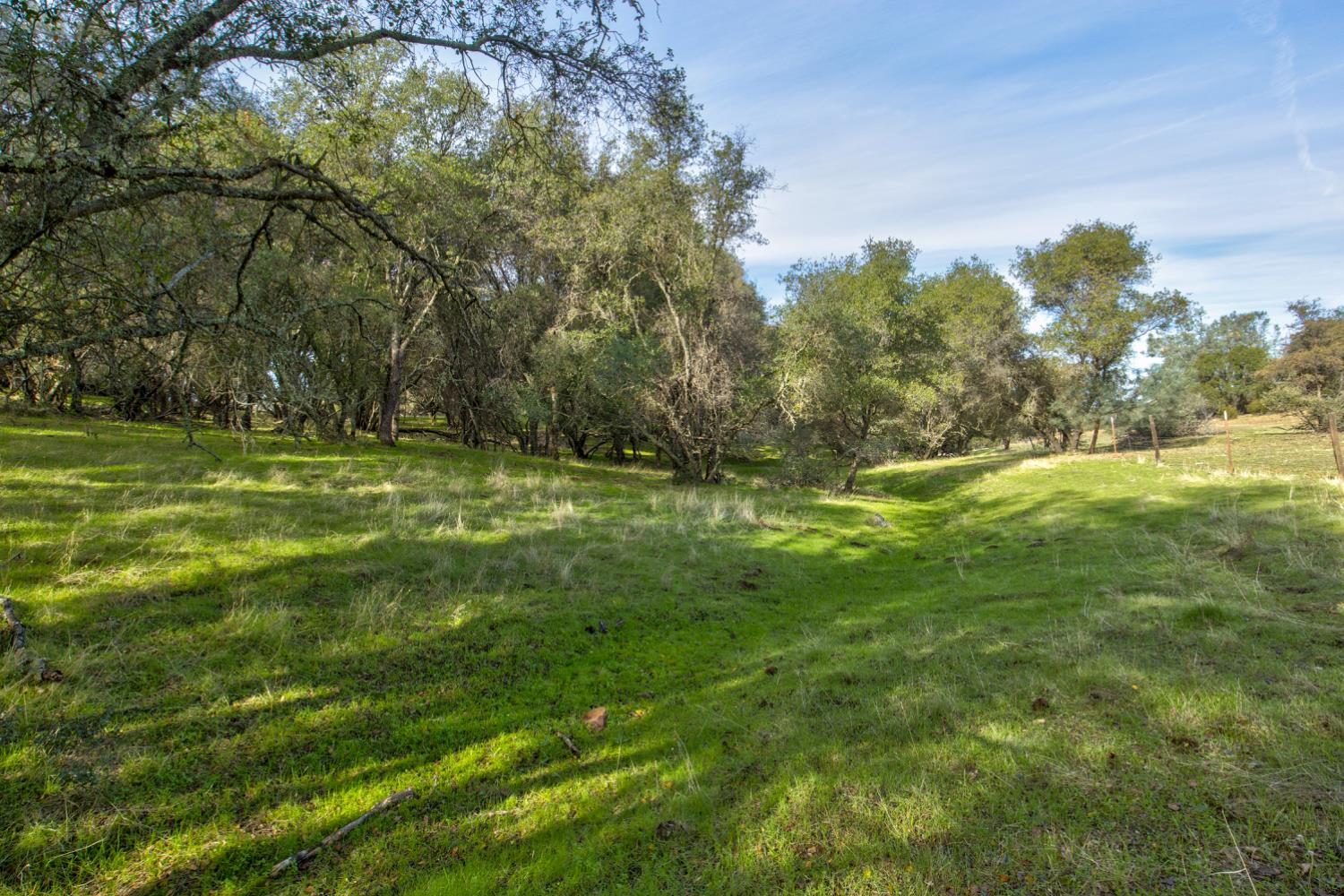 0 Latrobe Road Plymouth, CA 95669 - Photo 46 of 52 a view of a field with grass and trees