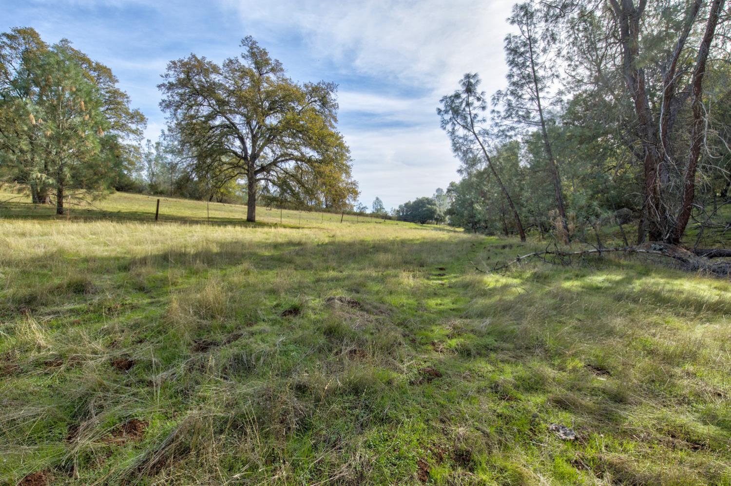 0 Latrobe Road Plymouth, CA 95669 - Photo 47 of 52 a view of outdoor space with trees all around