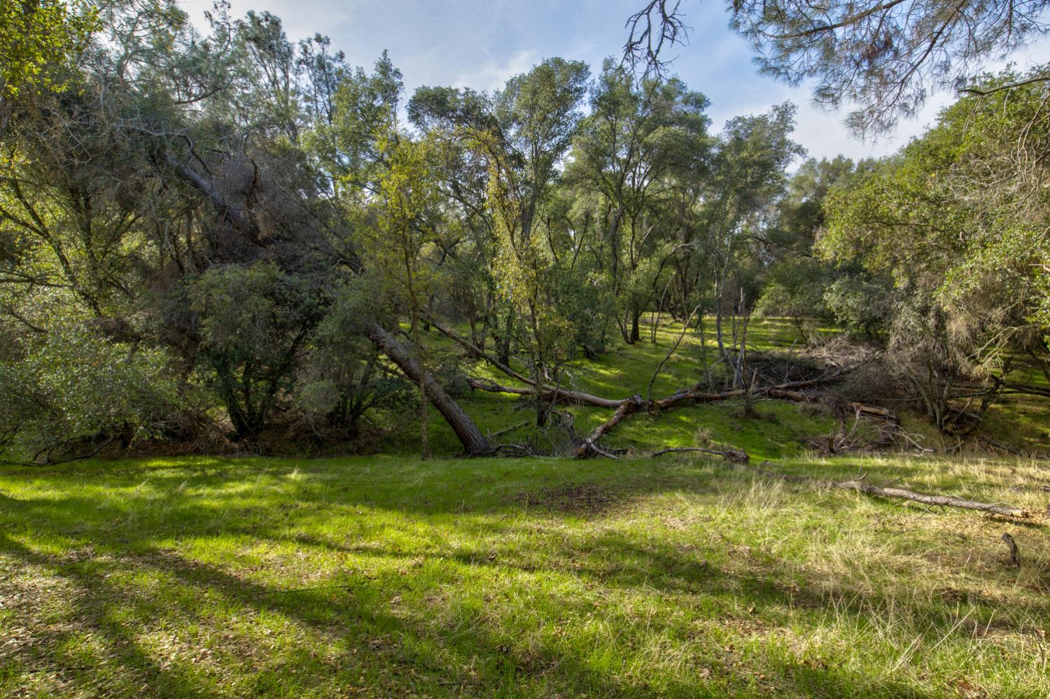 0 Latrobe Road Plymouth, CA 95669 - Photo 50 of 52 a view of a garden