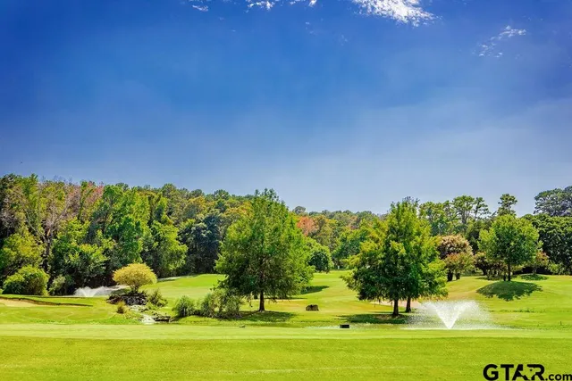 a view of a swimming pool with lawn chairs and a big yard