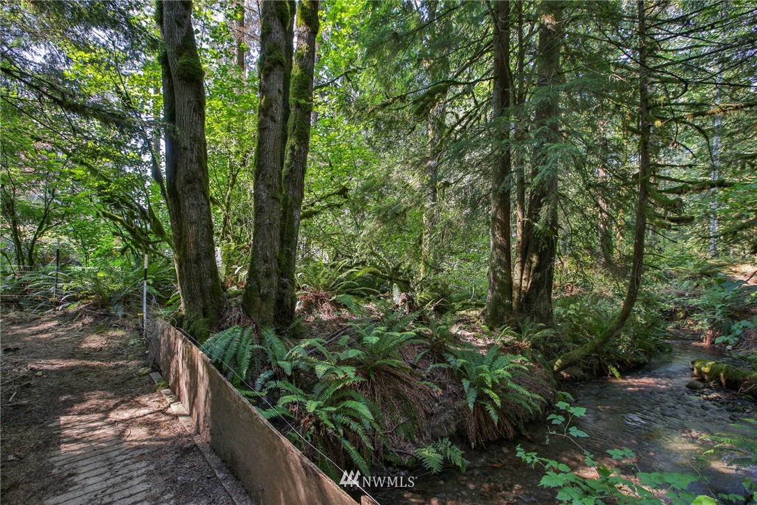 42601 May Creek Road Gold Bar, WA 98251 - Photo 18 of 21 Gallery Image 18