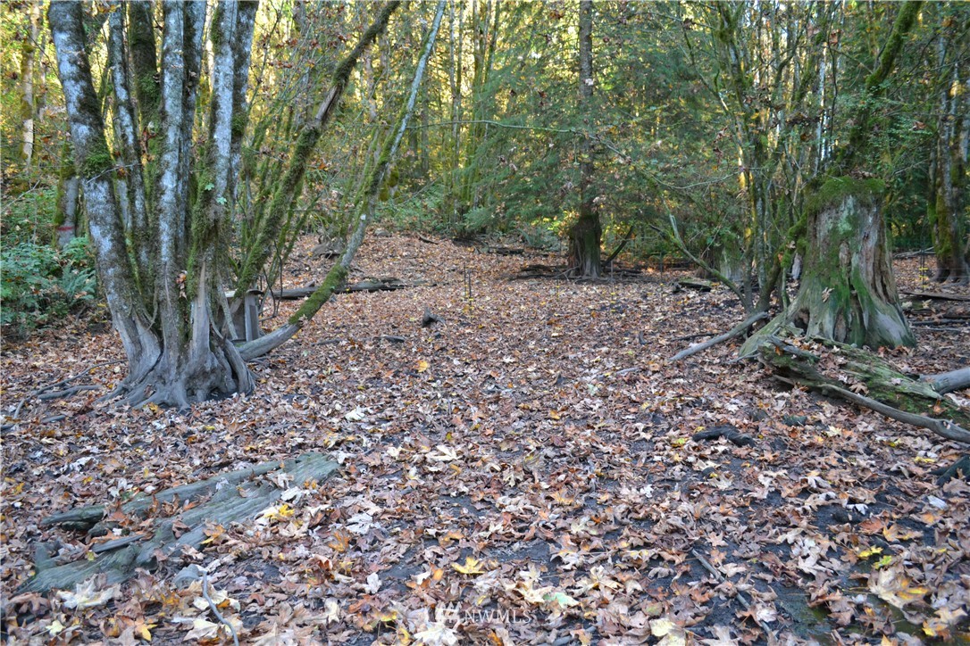 42601 May Creek Road Gold Bar, WA 98251 - Photo 20 of 21 Gallery Image 20