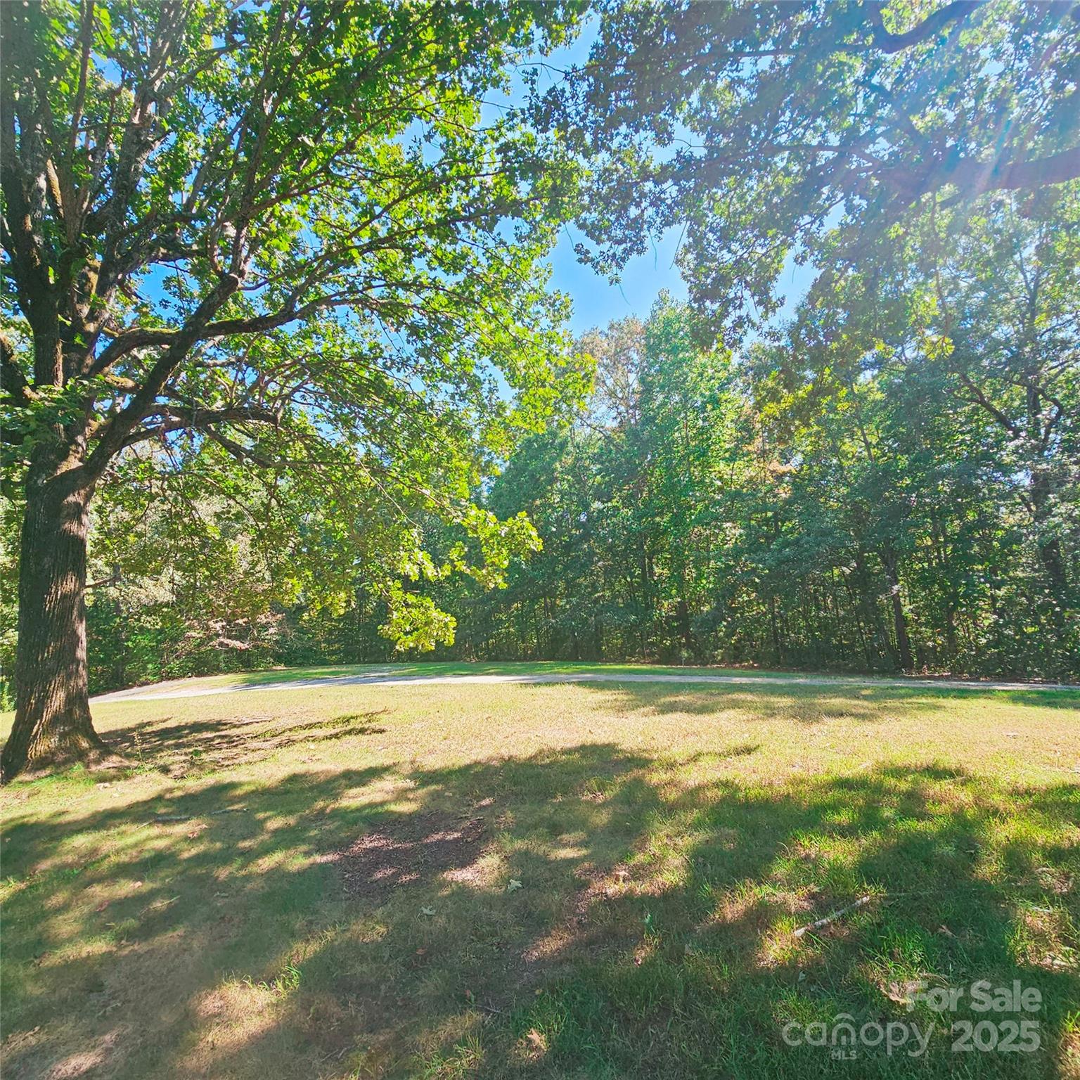 204 Bonaire Lane Rutherfordton, NC 28139 - Photo 3 of 18