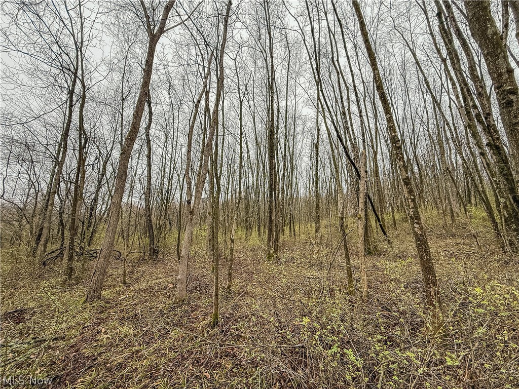 Buck Hill Road Frazeysburg, OH 43822 - Photo 8 of 24