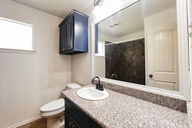 a bathroom with a granite countertop sink toilet and shower