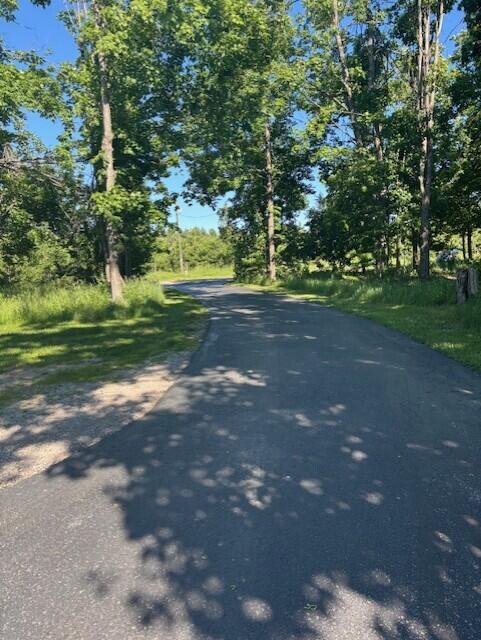 1976 Estelle Road Gaylord, MI 49735 - Photo 53 of 58 52