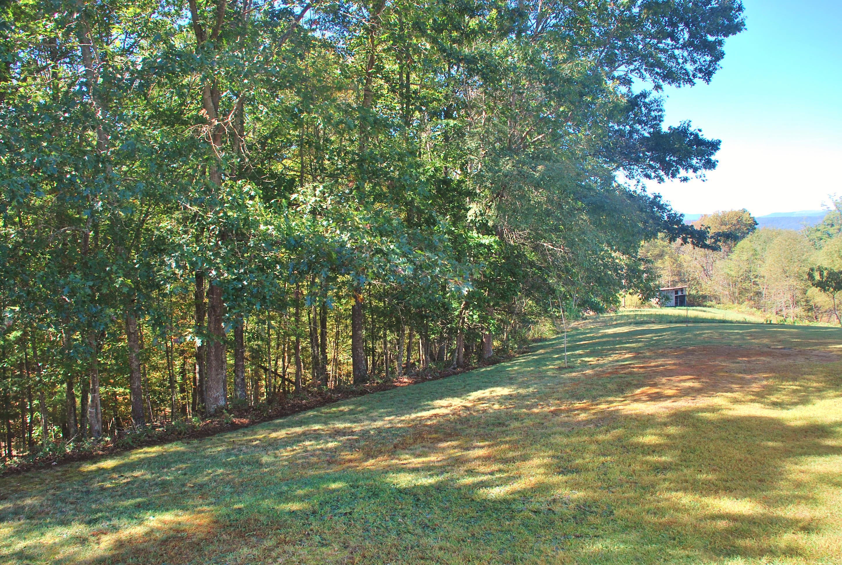 594 Slab Camp Road Renick, WV 24966 - Photo 28 of 29 Gallery Image 28