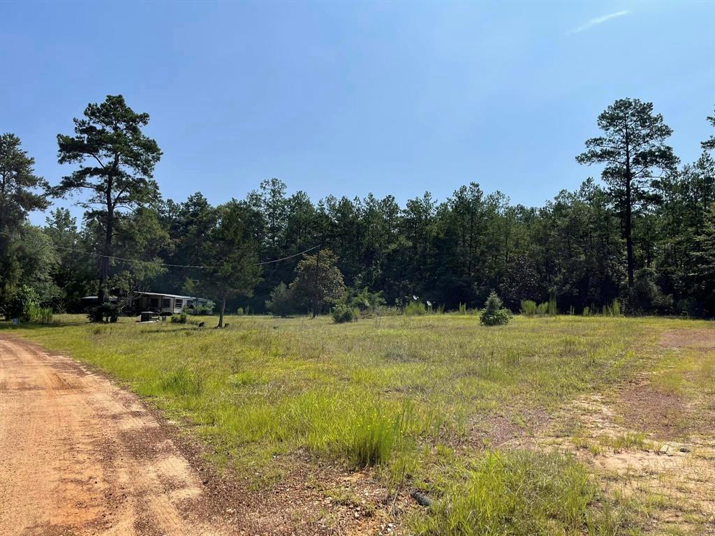 296 Pr 8512 Hillister Tx  