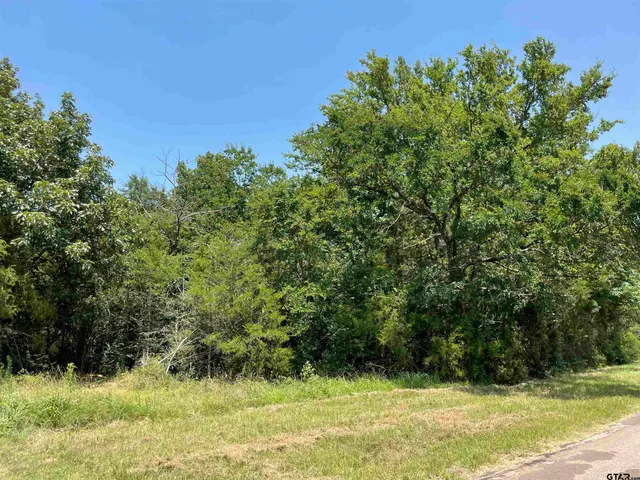 a view of swimming pool from a yard