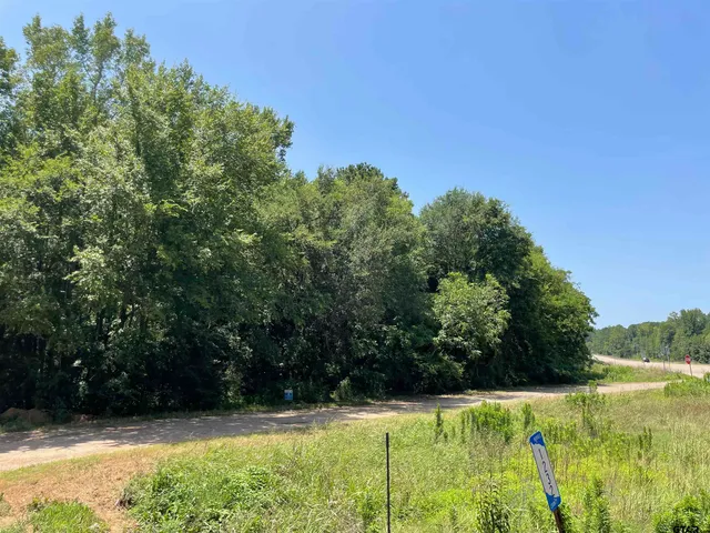 a view of backyard with green space