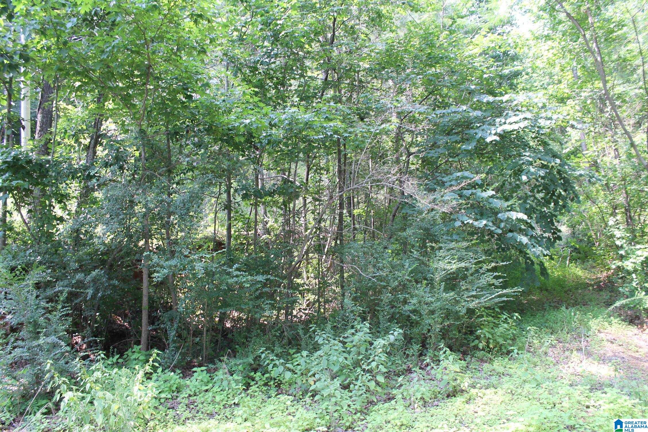 8086 Cavern Road, Unit 2 Trussville, AL 35173 - Photo 3 of 4