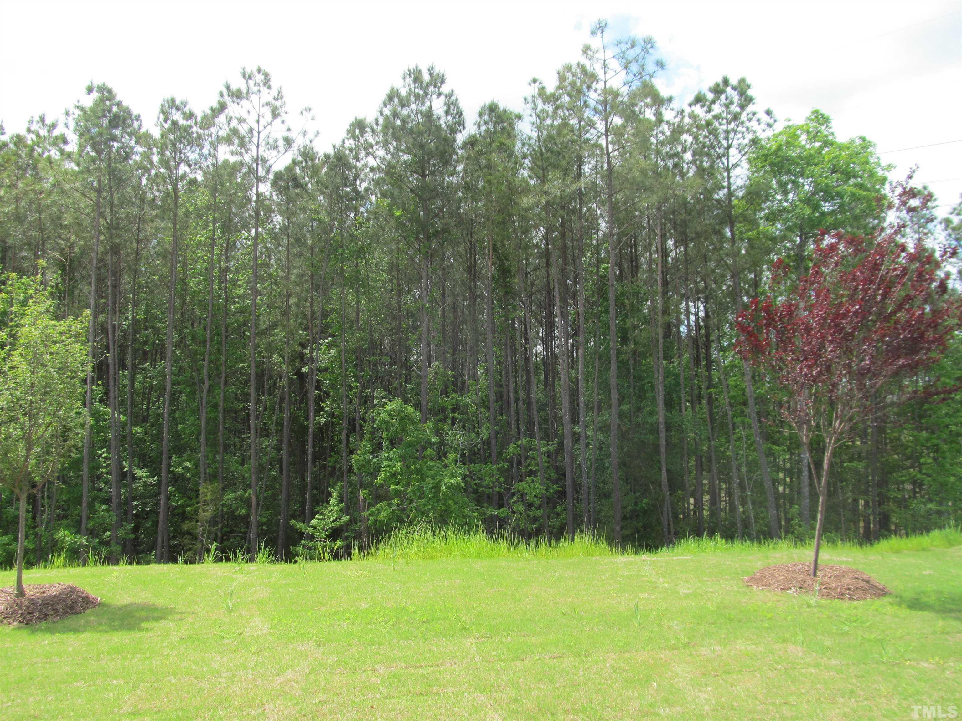 1248 Magic Hollow Road Durham, NC 27713 - Photo 13 of 13 a view of a green yard