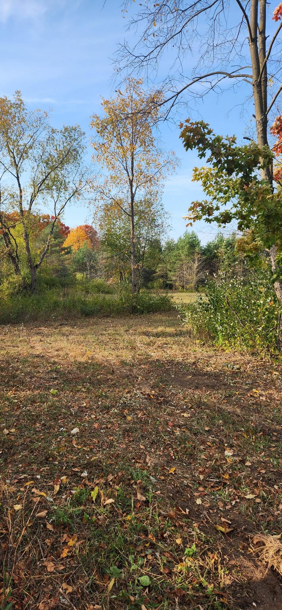 9874 Covey Road Beulah, MI 49617 - Photo 10 of 13