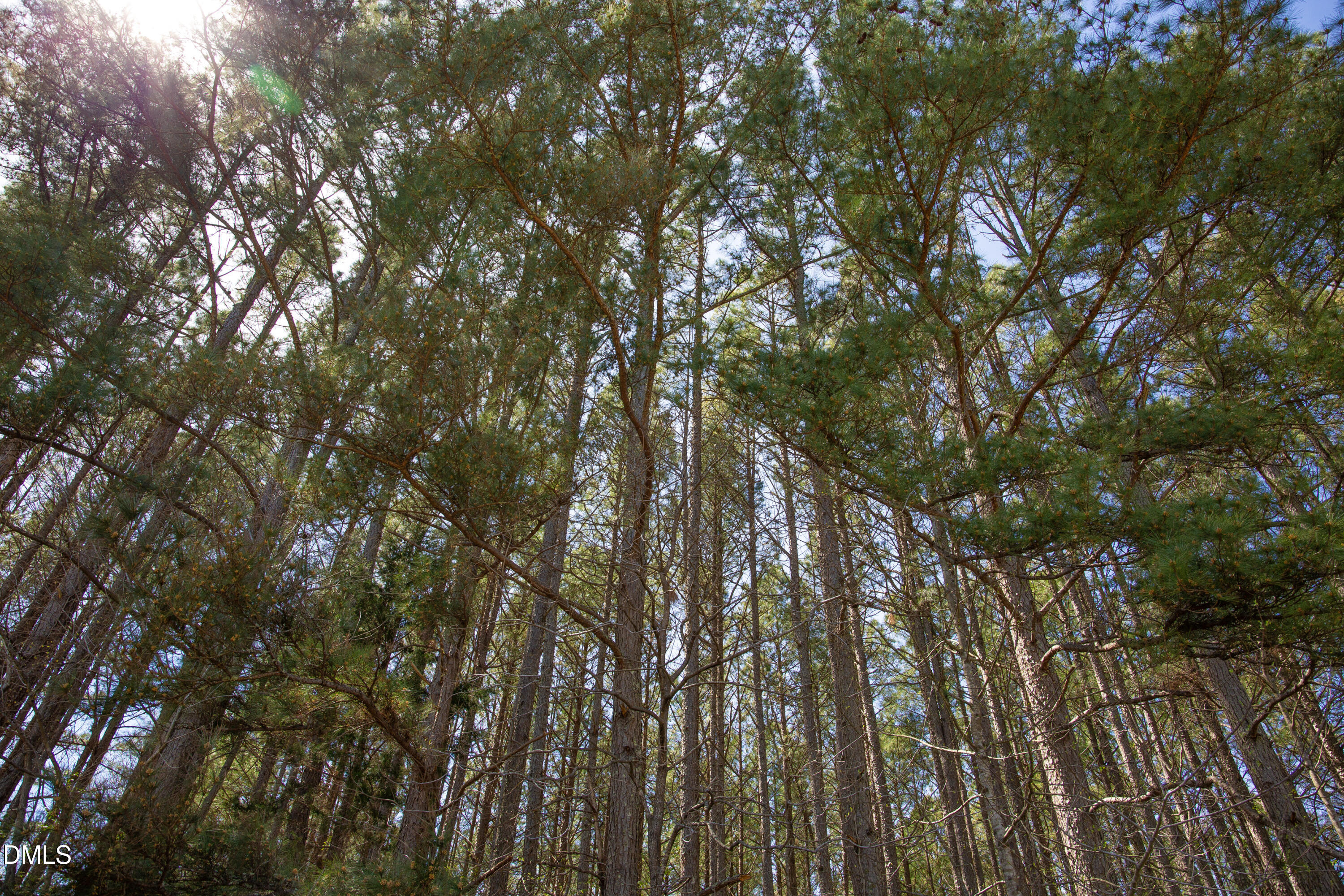 -19 Acs Doll Branch Road Milton, NC 27305 - Photo 10 of 10