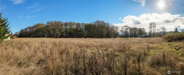 a view of lake with houses in the back