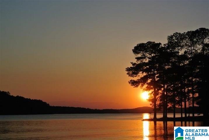 Red Eye Lane, Unit 24 Wedowee, AL 36278 - Photo 3 of 5