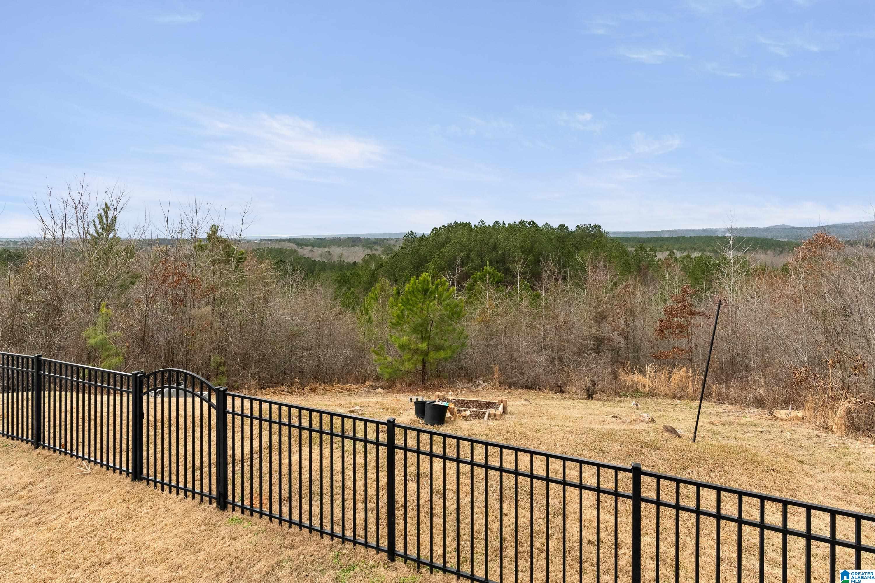 3087 Chelsea Park Ridge Chelsea, AL 35043 - Photo 38 of 64