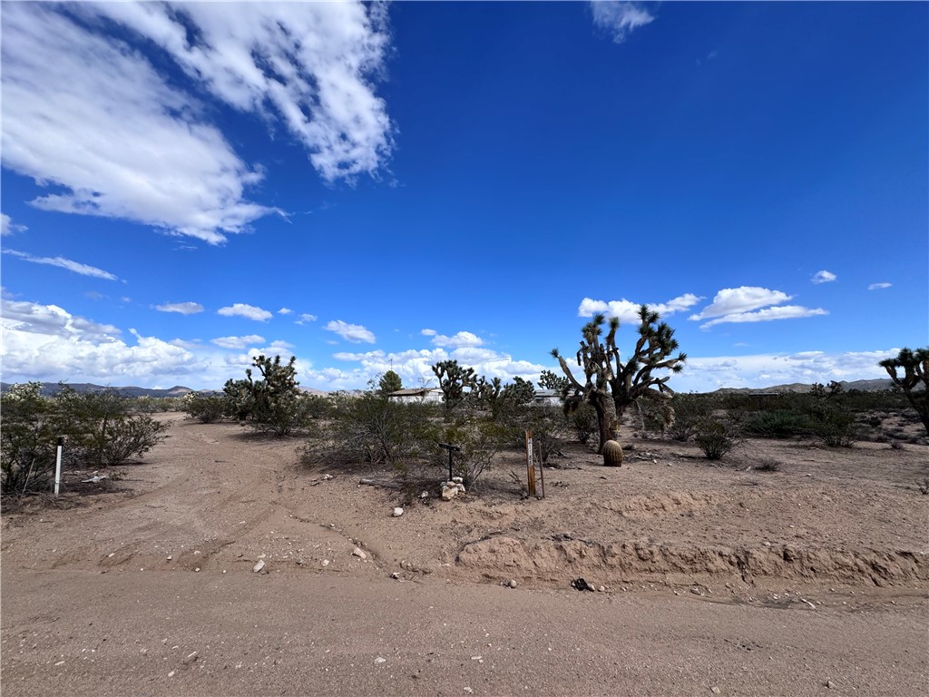 21188 South Cheyenne Road Yucca, AZ 86438 - Photo 2 of 24 View of nature